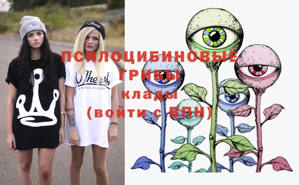 мдпв Навашино