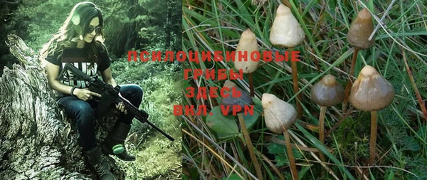 СК Нефтекумск