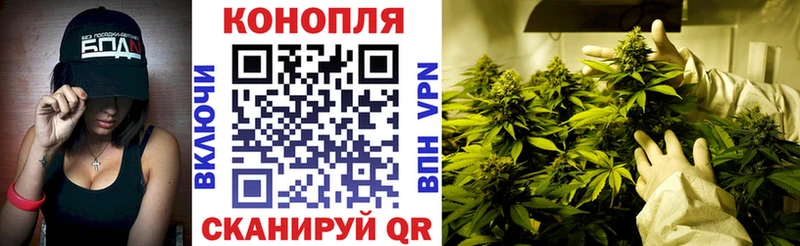 Бошки Шишки семена  Купить где  Волгодонск 